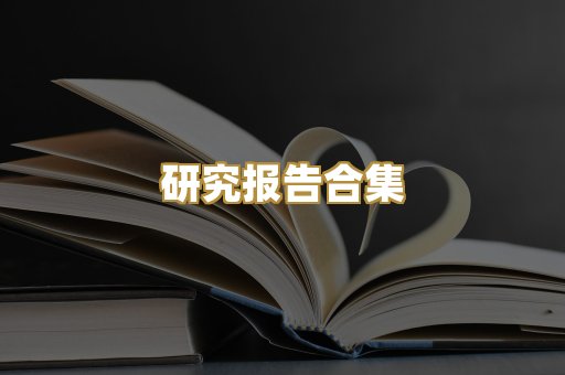 研究报告合集